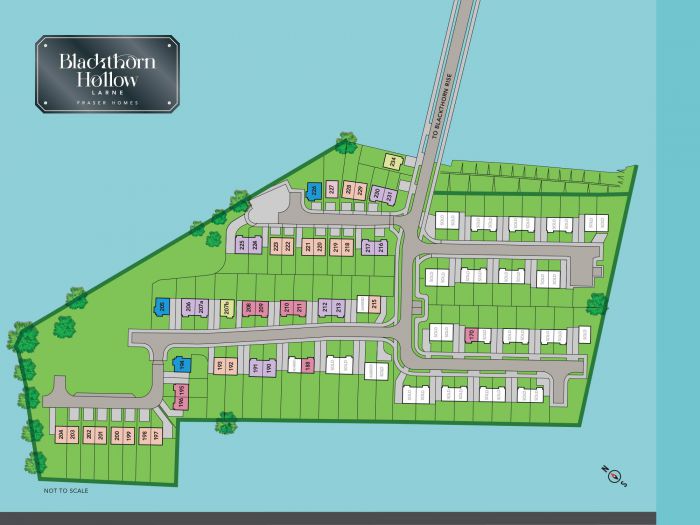 W4D, Site 207B Blackthorn Hollow