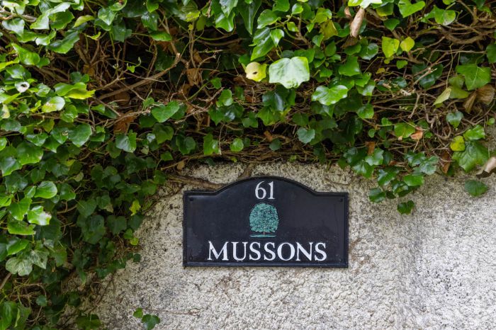  Mussons , 61 Carricknadarriff Road
