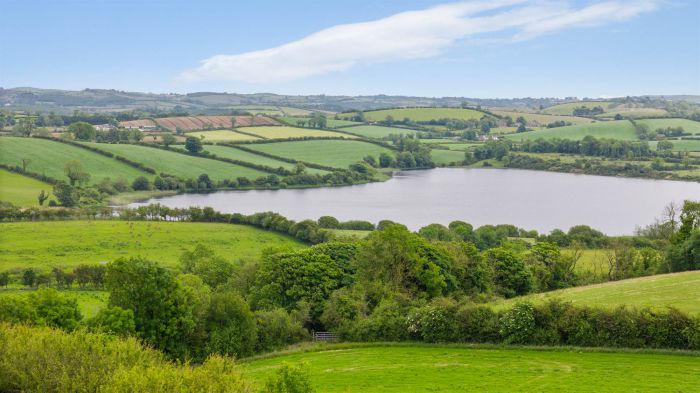  Mussons , 61 Carricknadarriff Road