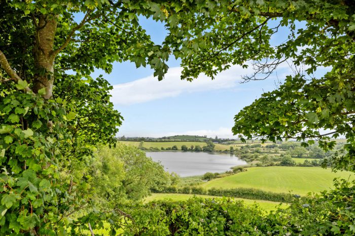 77 Carricknadarriff Road