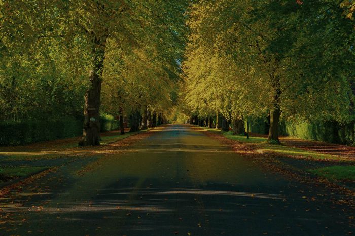 Dundarave, 53 Malone Park