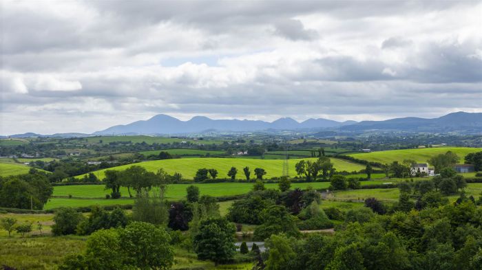 Building Site 50M North Of 190 Killynure Road