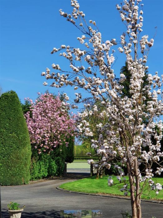 11 Ballyhartfield Road