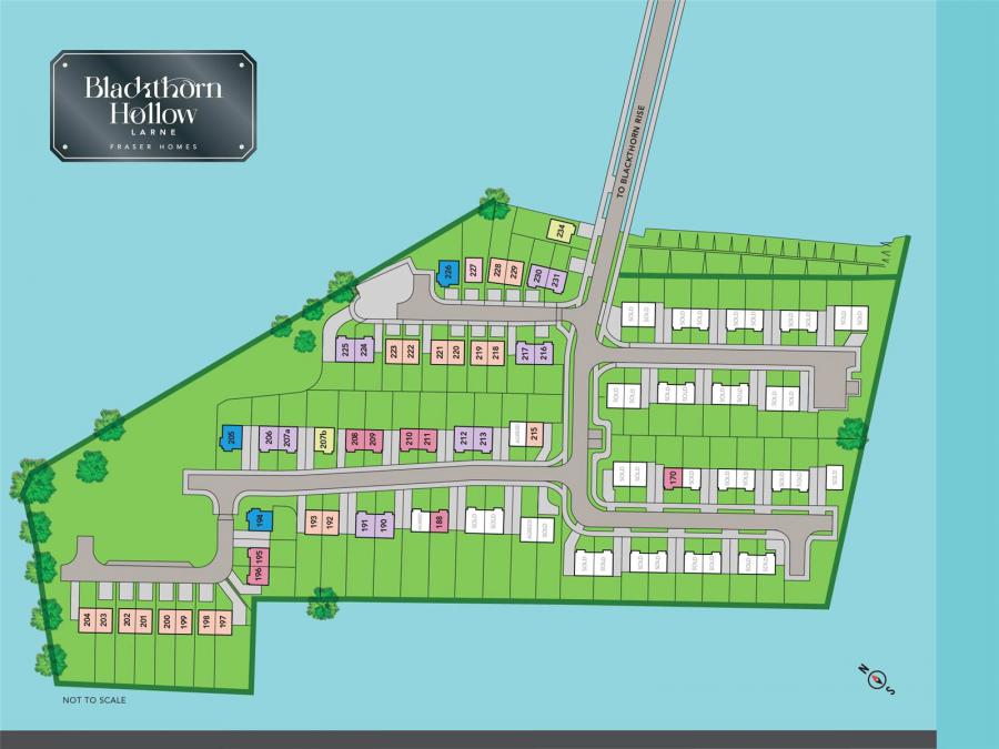 Site 227 The Chestnut Detached, Blackthorn Hollow