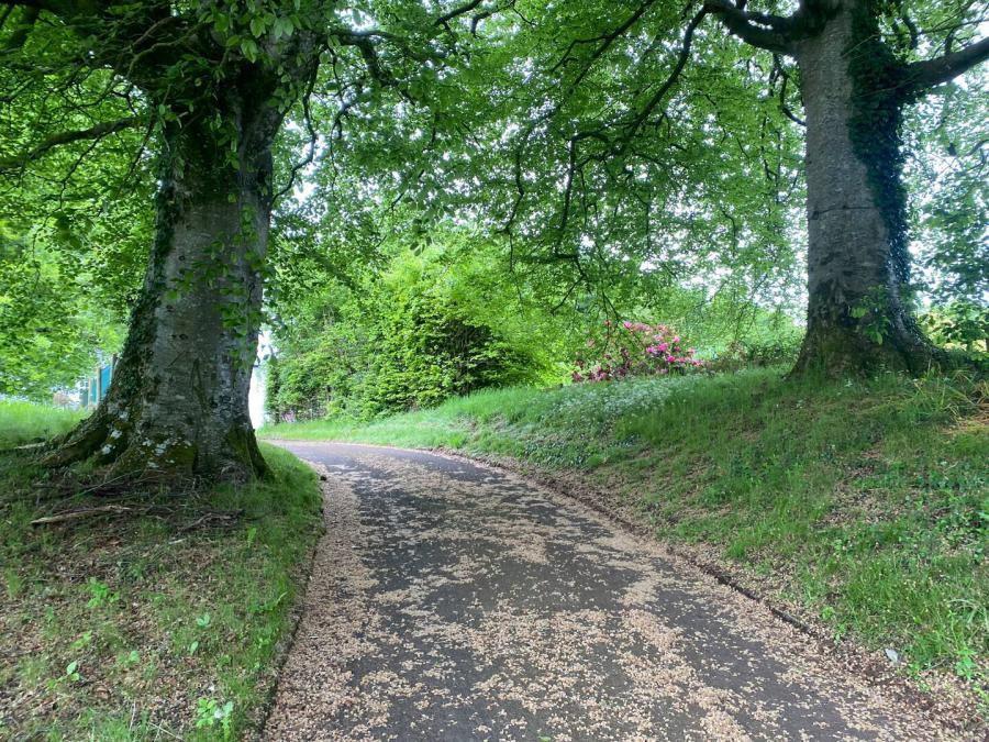 The Old Manse, 26 Boveedy Road