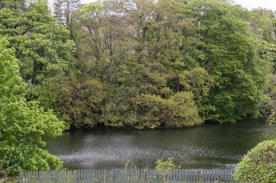 3 St. Patricks Gardens