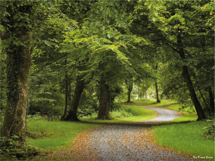 Mourne Park Estate