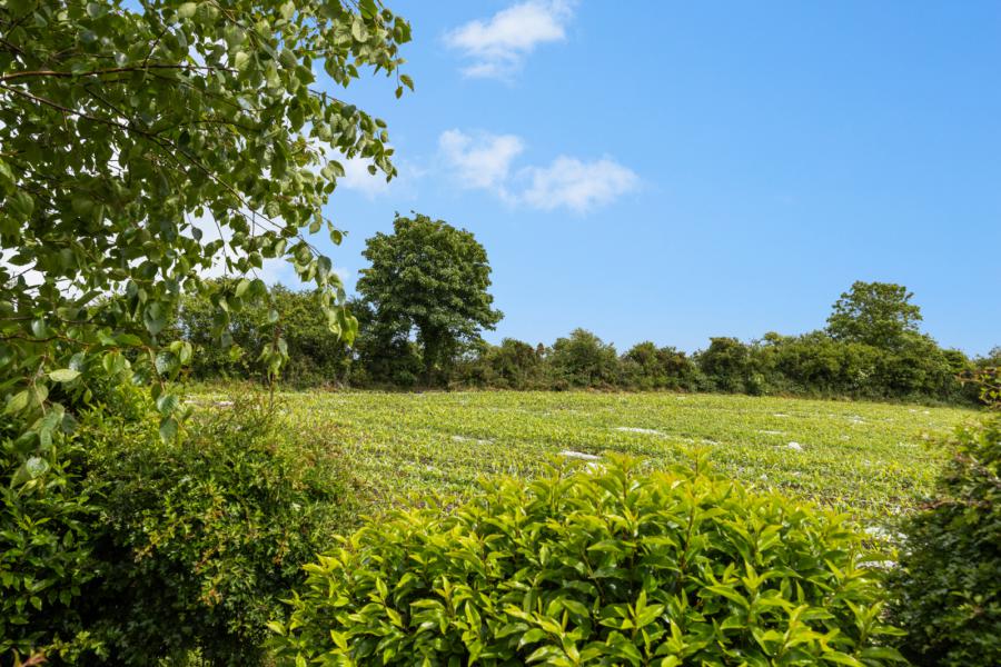 10 Governors Gate Meadow