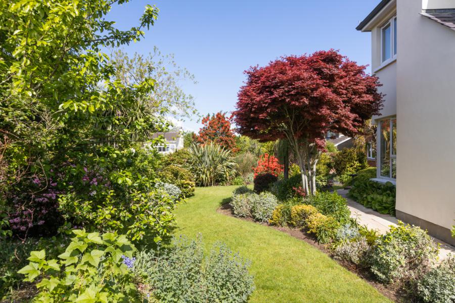 74 Carnreagh
