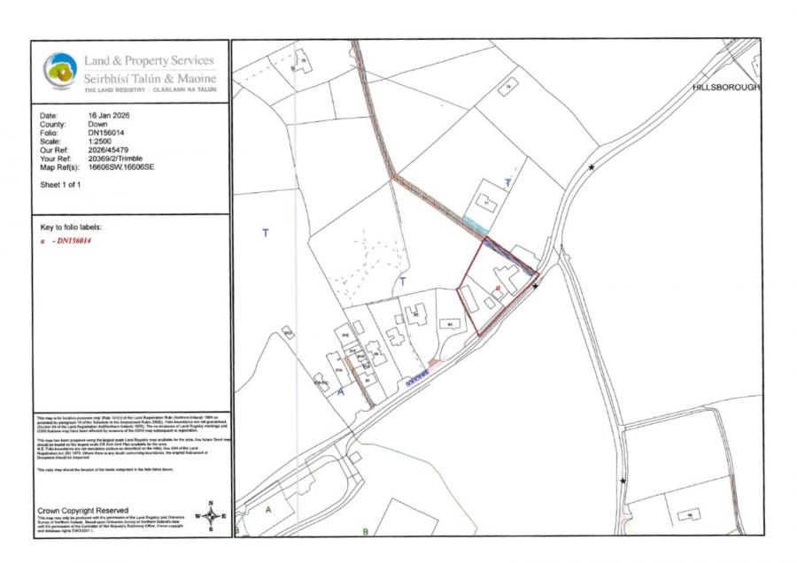 81 Hillsborough Road