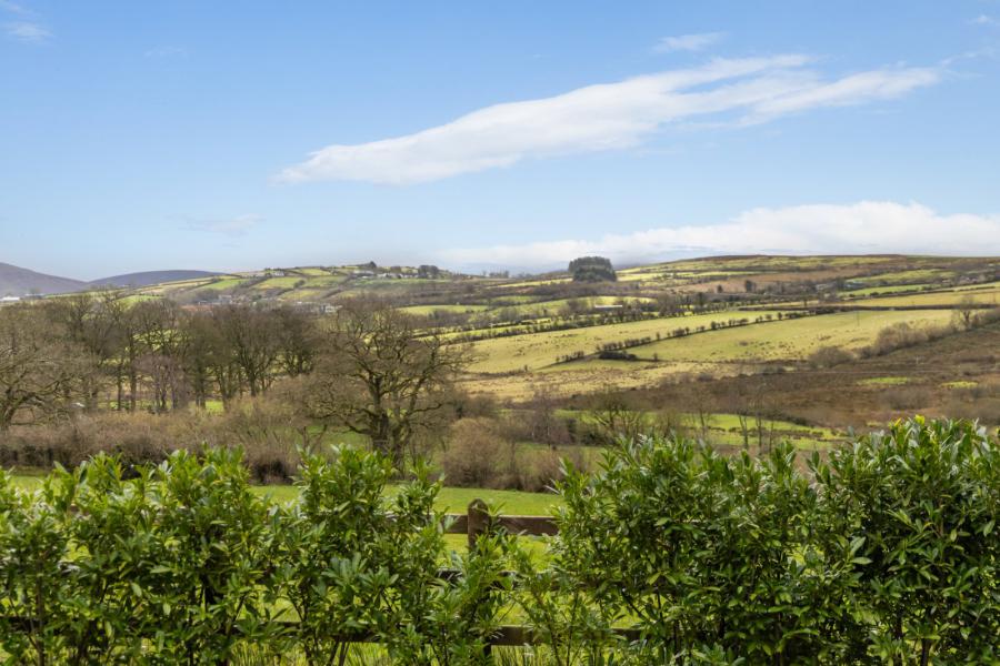 18 Ballyhanedin Road