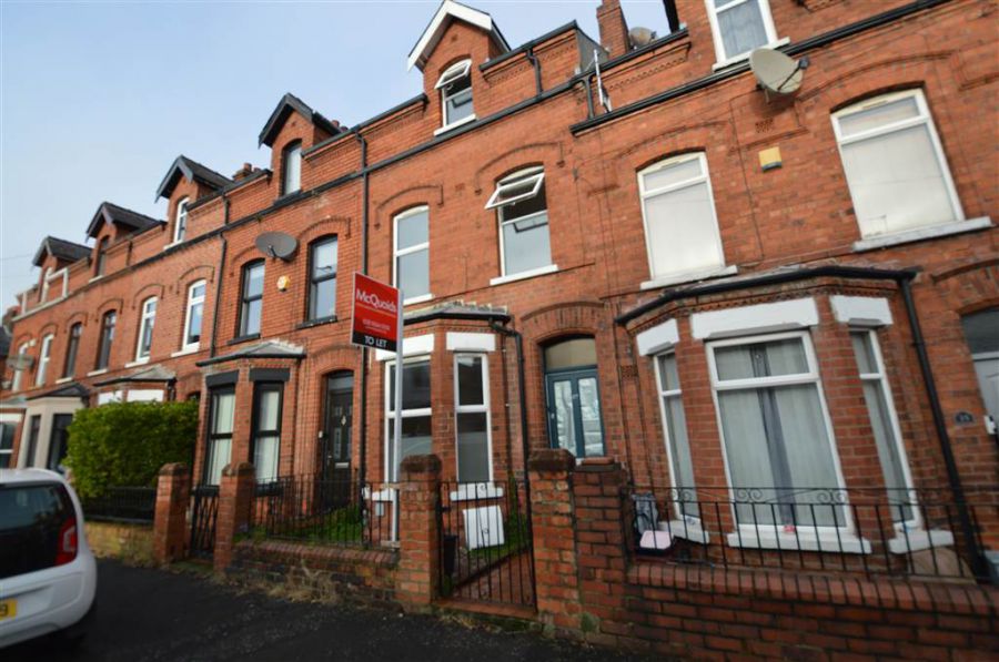 37 Willowholme Street