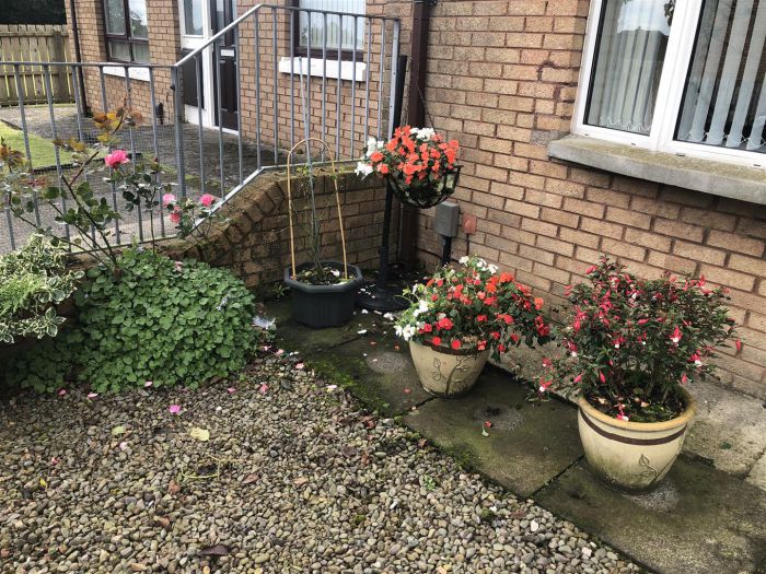 13 Gogarty Close