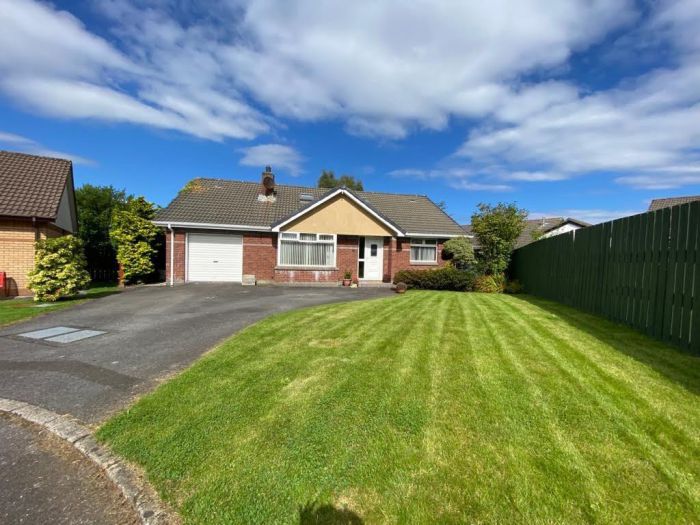 53 Abbeydale, waterside, derry / londonderry, BT47 6FY