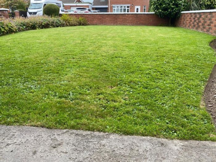 11 Tamworth Crescent