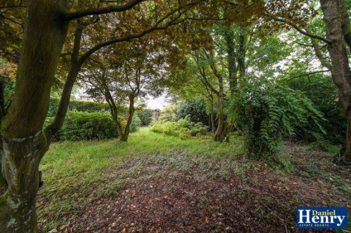 Everest, 14 Limavady Road