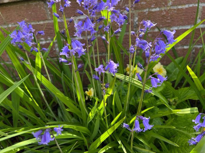 5 Greymount Crescent