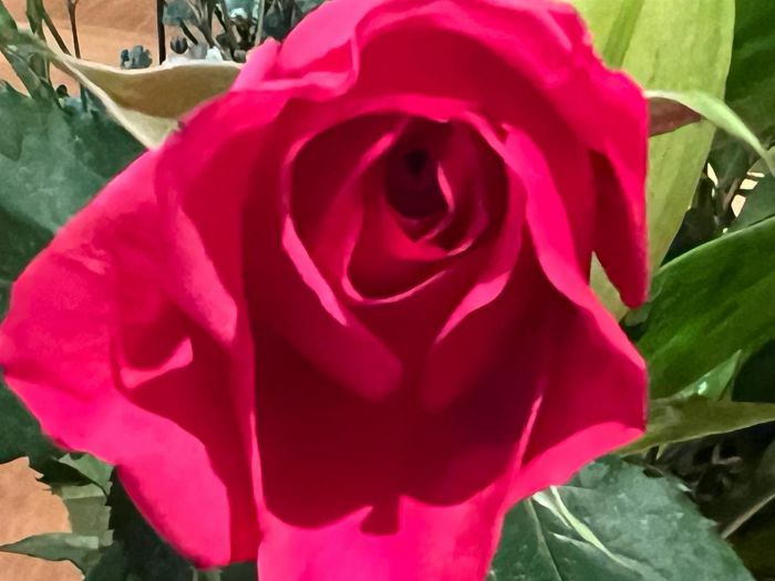 7 Upper Bennett Street