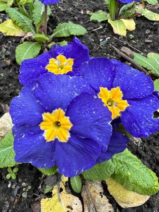 107 Knockwellan Park