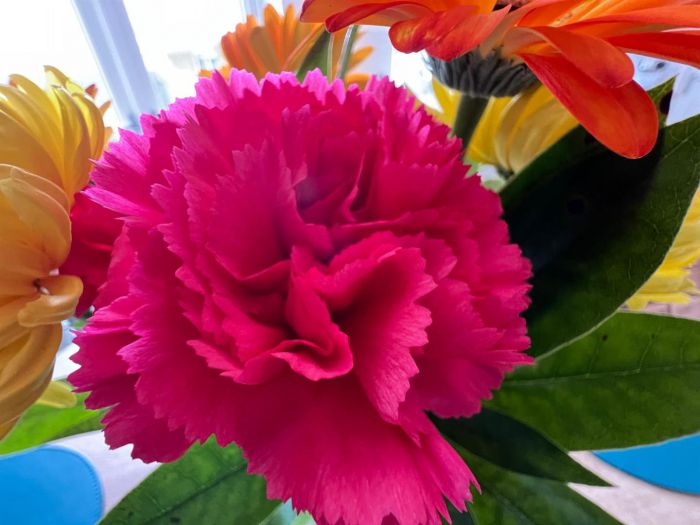 13 Summer Meadows Mews