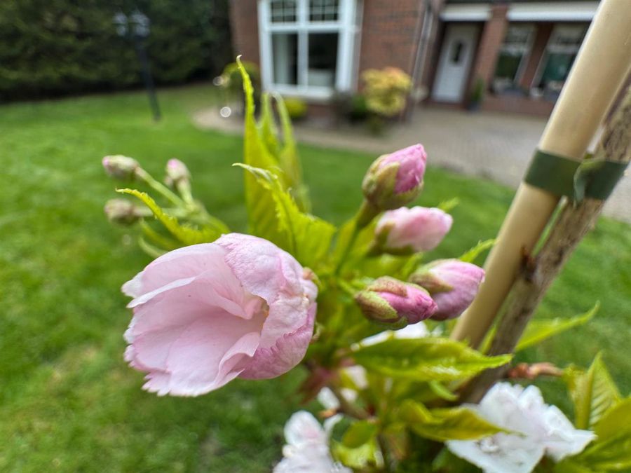 Wilton House, 41B Limavady Road