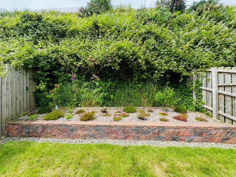 259 Birch Hill