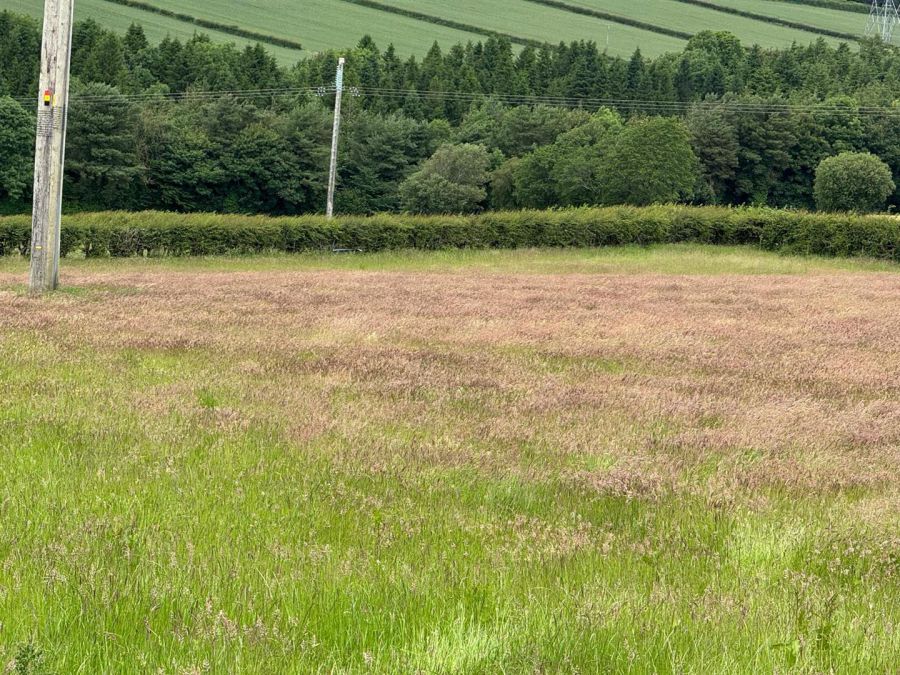 Land at Tamnaherin Road