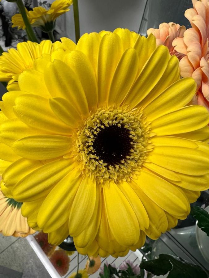 174 Gortin Meadows 174 Gortin Meadows