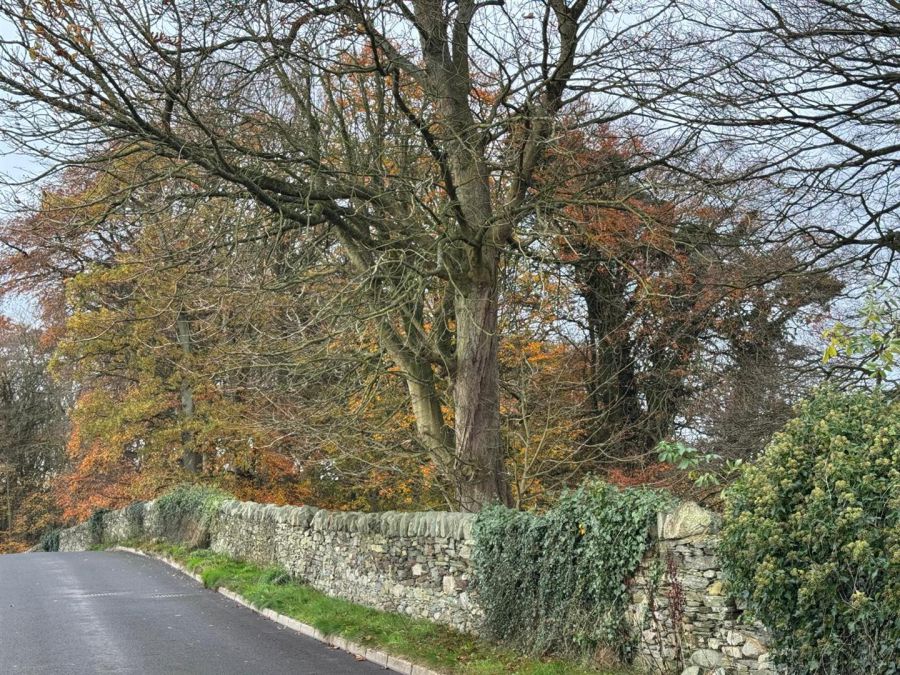 SITES Upper Galliagh Road