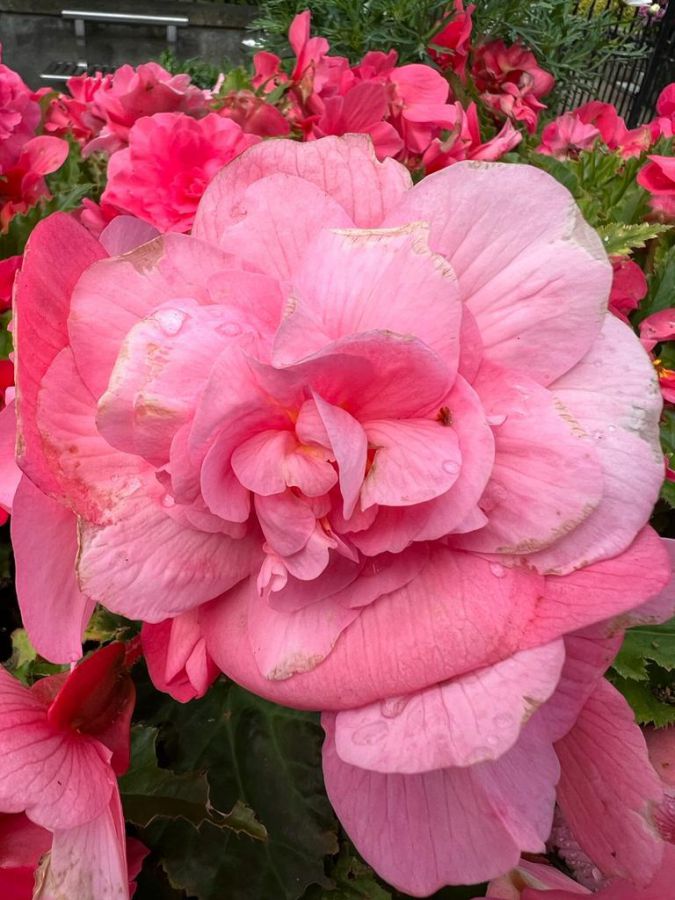 108 Primity Crescent