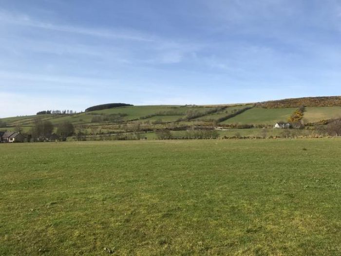 7 The Oaklands Glenshane Road