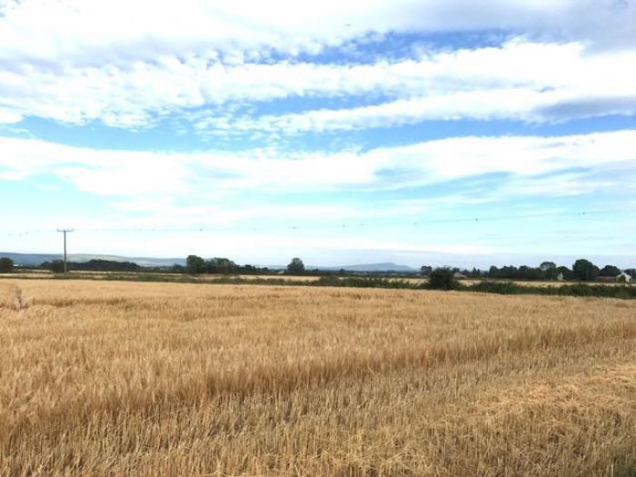 122 Carrowclare Road