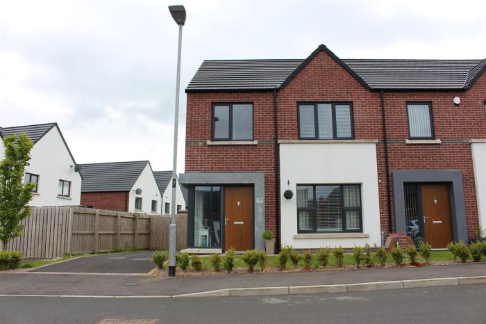 39 Broighter Gardens