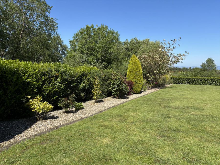 39 Larch Road