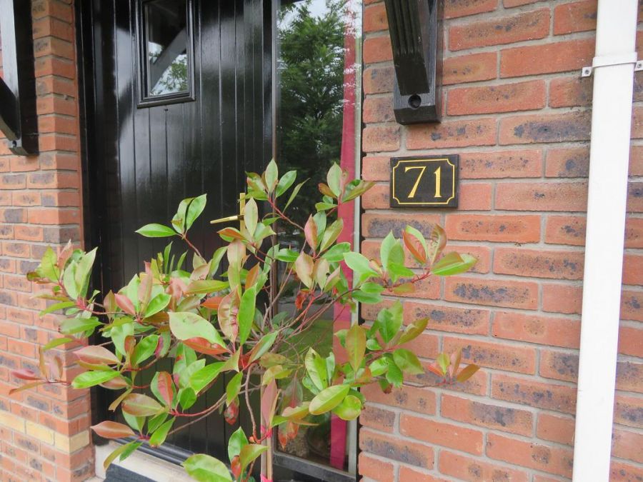 71 Murray Wood