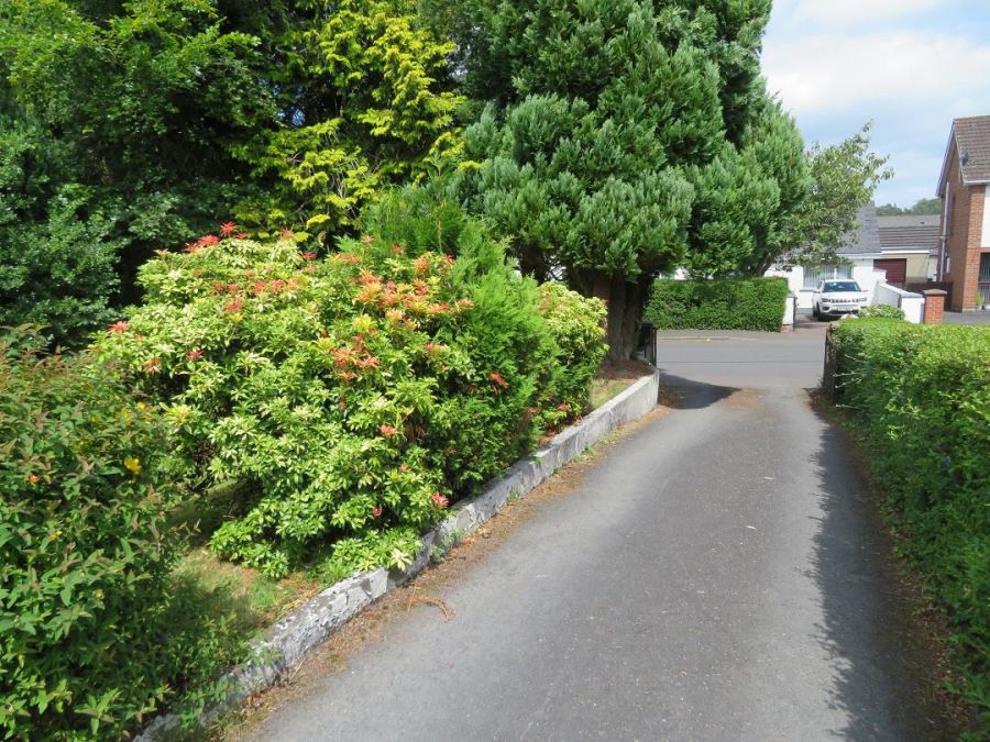 12 Wood Lane