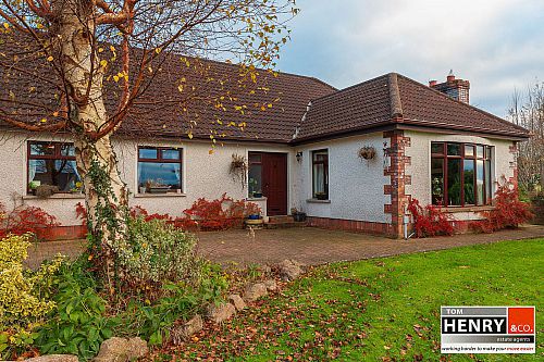 59 Blackisland Road