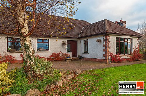 59 Blackisland Road