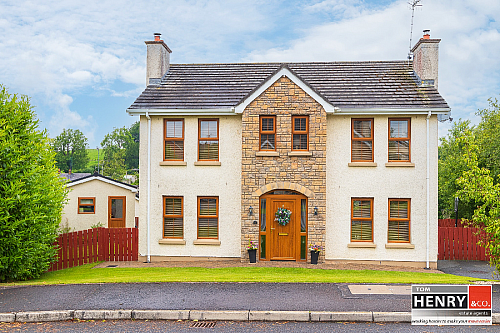 2 Torrent View, donaghmore, BT70 3GZ