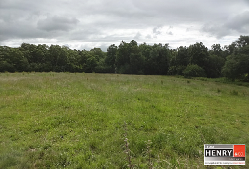 Tamnamore Road,dungannon, BT71 6HW