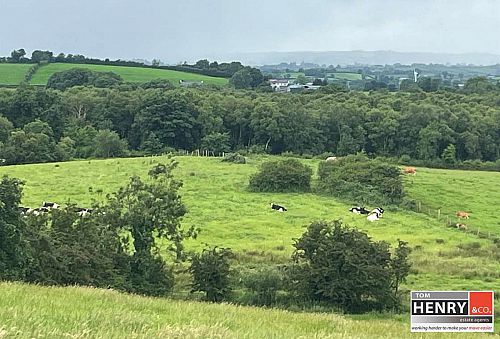 Mullaghroddan Road