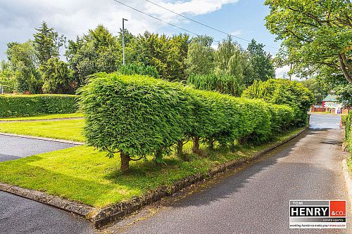 Ledlie Villa, 60 Dungannon Road