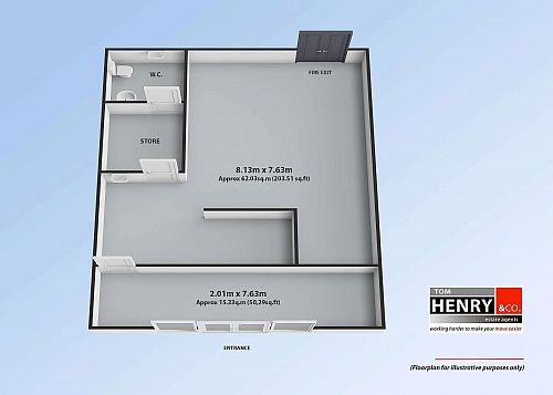 3 Cohannon Complex