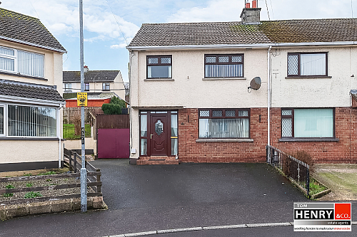 20 Eastvale Avenue, Killyman Road, Dungannon, BT71 6DL