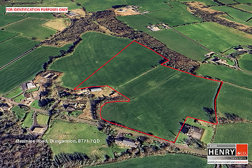 Drumlee Road, Blackwatertown, Dungannon, BT71 7QD