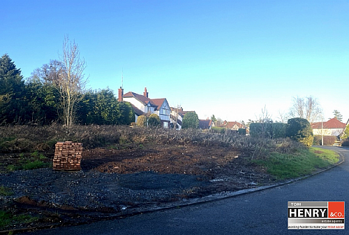 Ardkeen Close, Killymeal Road, Dungannon, BT71 6TP