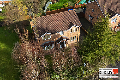 45 Hollyfields