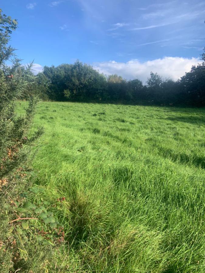 Drummurrer Lane, Coalisland, Dungannon, BT71 4QJ