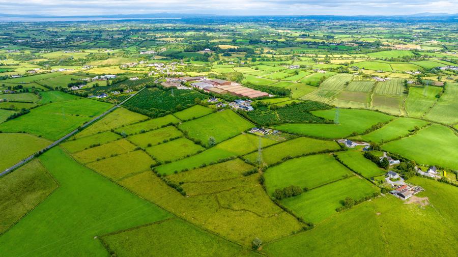 113 Summerisland Road