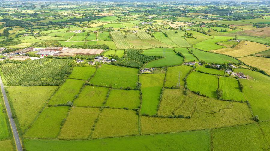 113 Summerisland Road